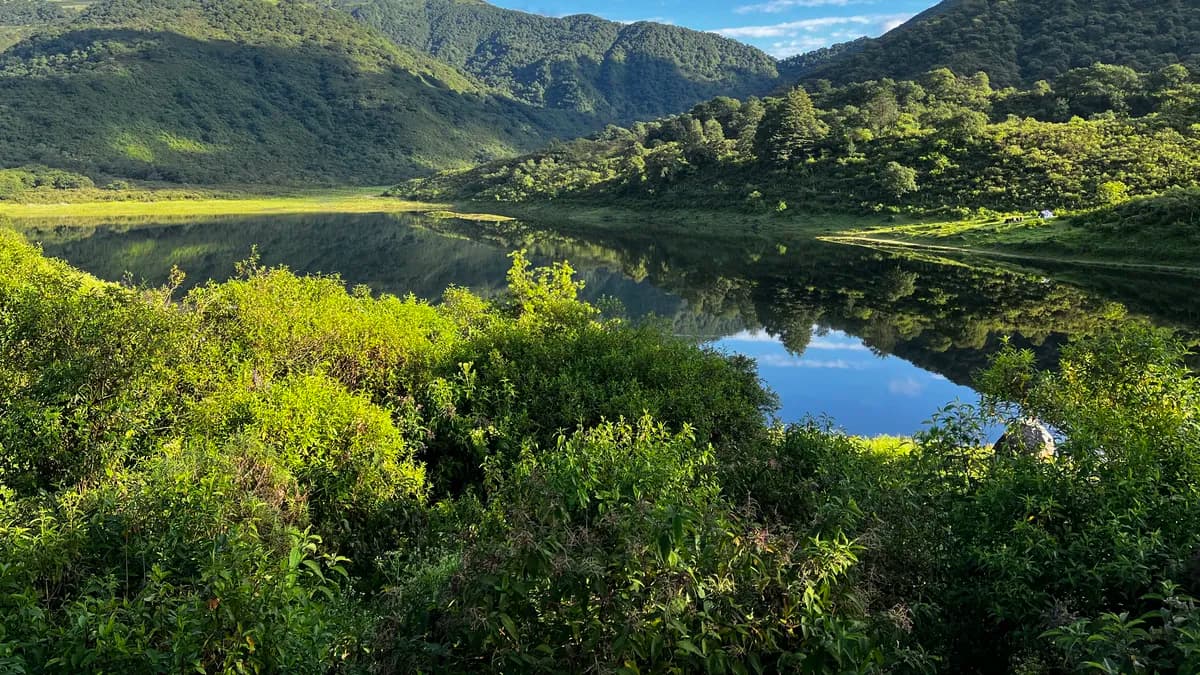 Jujuy refuerza el trabajo con comunidades para proteger los bosques nativos