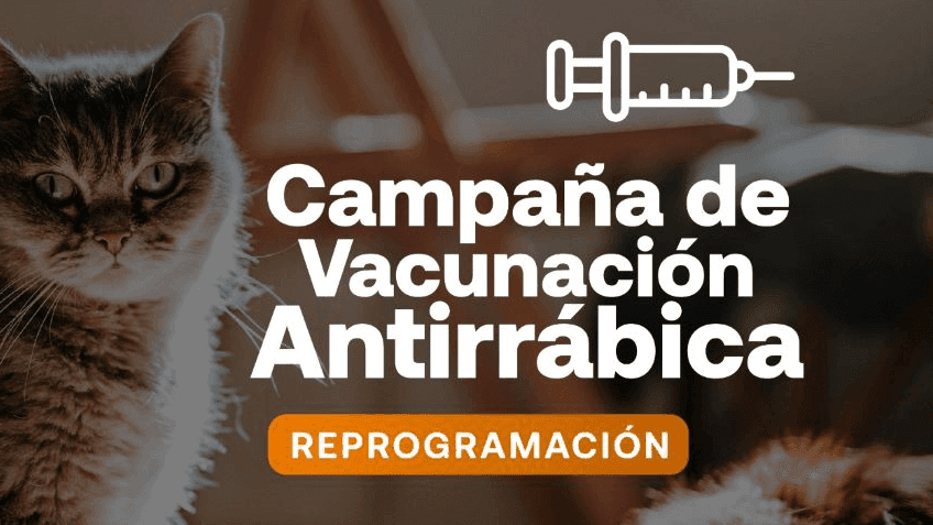 Continúa el operativo de castración y vacunación antirrábica: mirá los puntos y horarios de esta semana en Jujuy